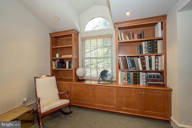 sitting room featuring dark carpet and vaulted ceiling