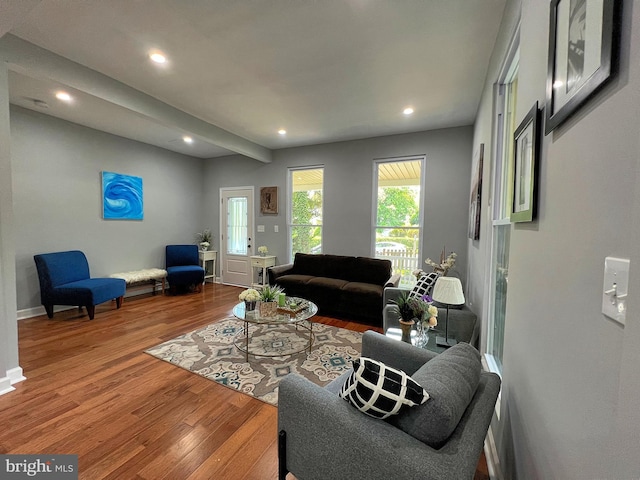 living room featuring hardwood / wood-style flooring