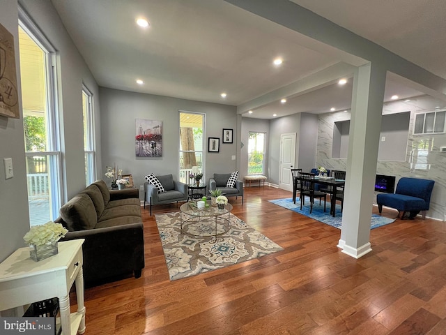 living room with wood-type flooring