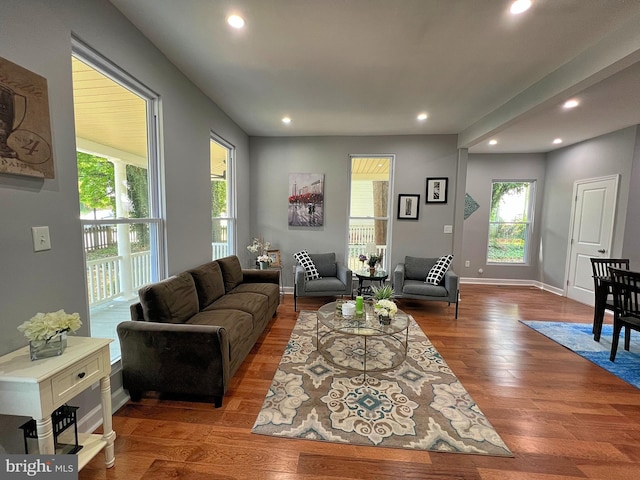 living room featuring wood-type flooring and a wealth of natural light