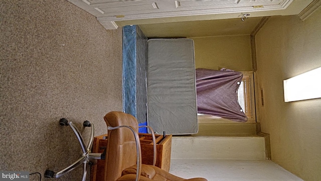 interior space with ornamental molding