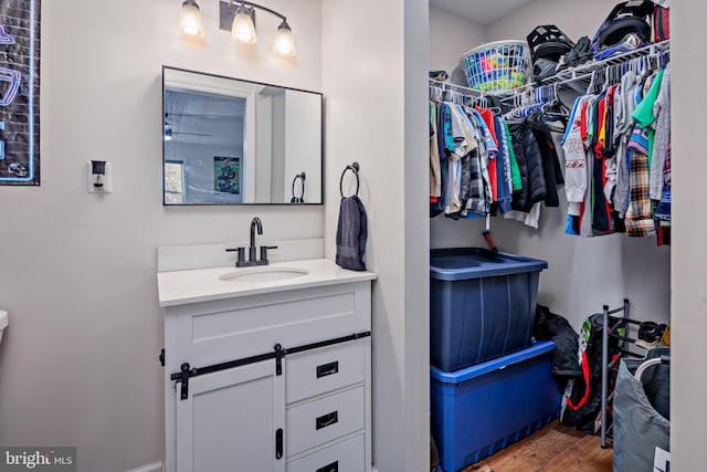 bathroom with hardwood / wood-style floors and vanity