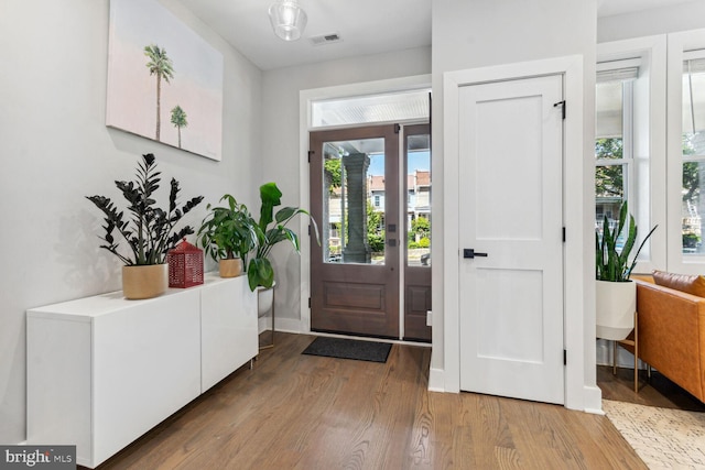 foyer entrance featuring hardwood / wood-style flooring