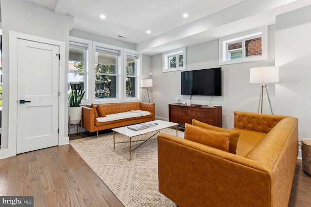 living room featuring hardwood / wood-style flooring