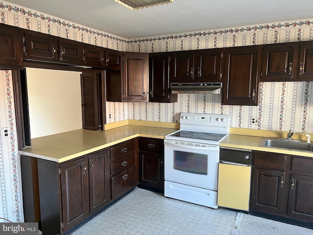 kitchen with dark brown cabinets, white appliances, and sink