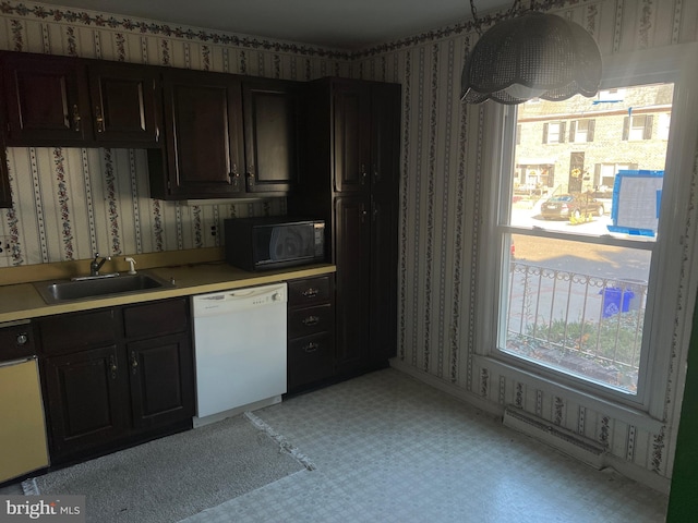 kitchen with dishwasher, dark brown cabinets, a wealth of natural light, and sink