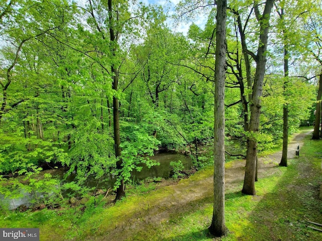 view of nature