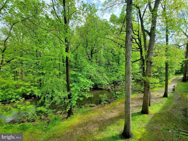 100 E Glenolden Ave Unit A-1, Glenolden, PA 19036 - view of woods