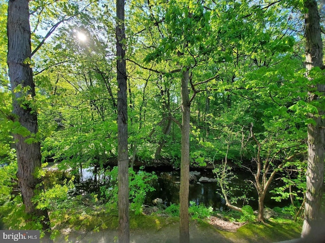 view of nature featuring a water view