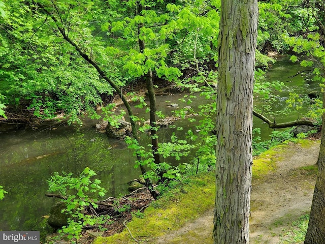 view of nature featuring a water view