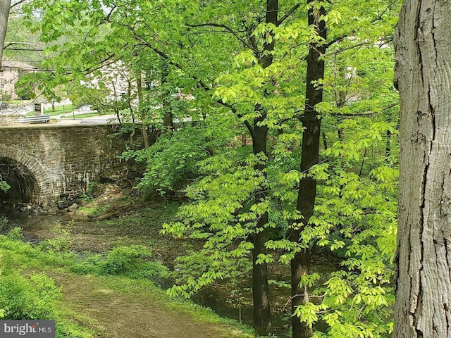 100 E Glenolden Ave Unit A-1, Glenolden, PA 19036 - view of yard