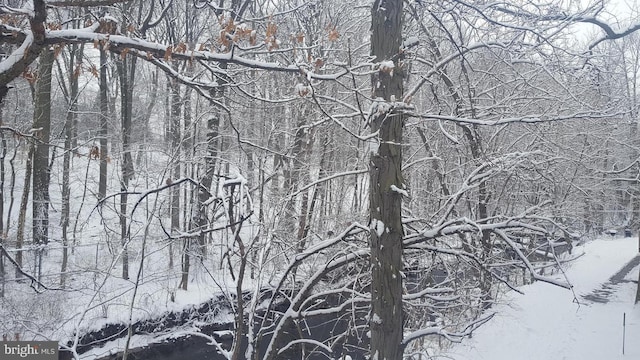 view of snow covered land