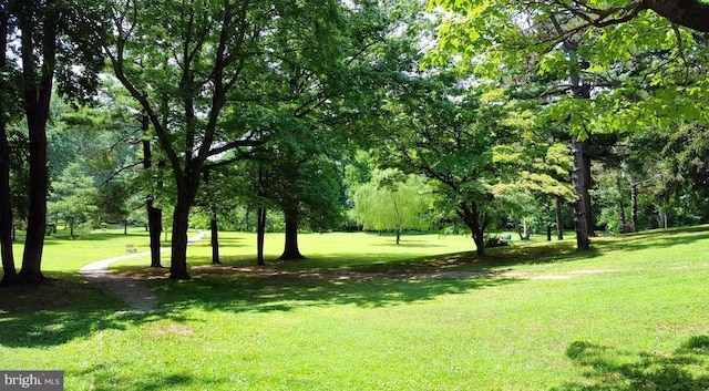 surrounding community featuring a yard