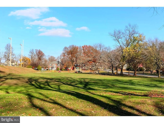 view of property's community with a yard