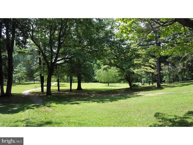 100 E Glenolden Ave Unit A-1, Glenolden, PA 19036 - view of grassy yard with view of wooded area