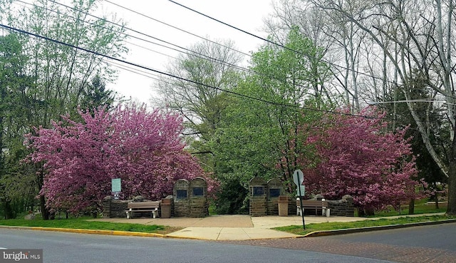 view of street