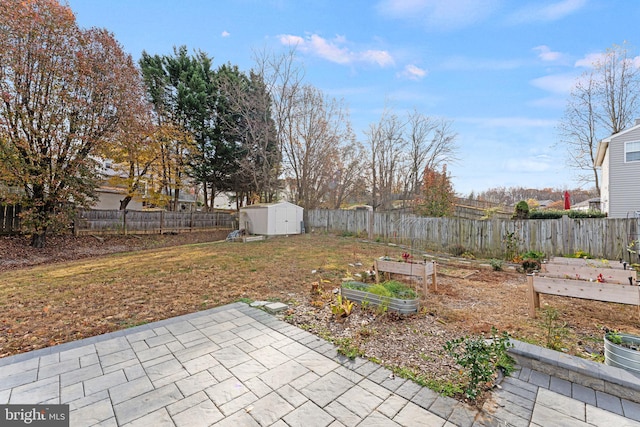 view of yard featuring a patio and a storage unit