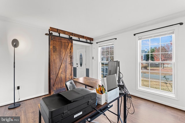 office featuring a barn door, crown molding, and dark wood-type flooring