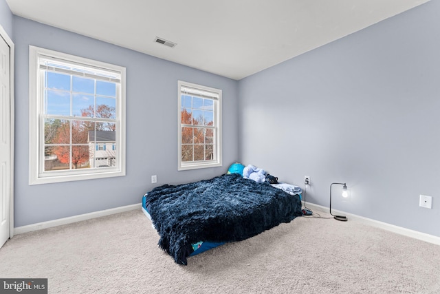 bedroom featuring carpet and multiple windows