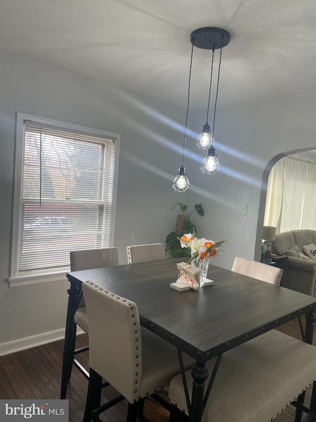 dining area featuring hardwood / wood-style floors