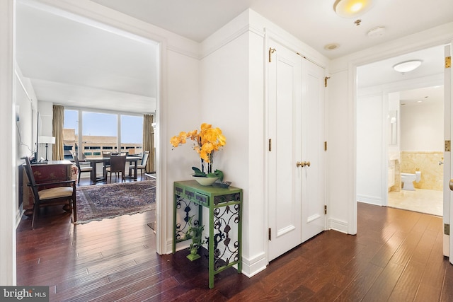 corridor featuring dark hardwood / wood-style flooring