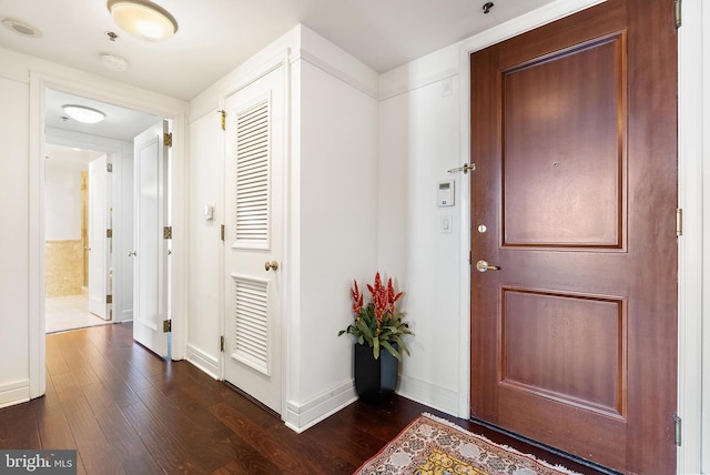 entrance foyer featuring dark wood-type flooring