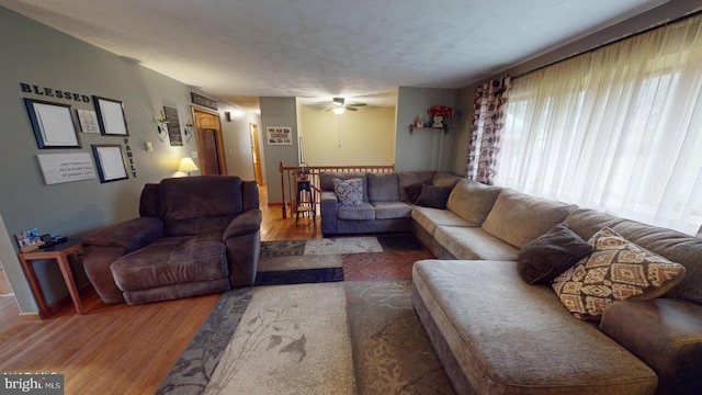 living room featuring ceiling fan and wood-type flooring