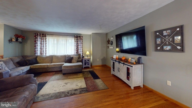 living room with hardwood / wood-style floors