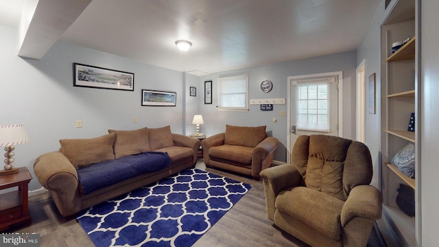 living room featuring wood-type flooring