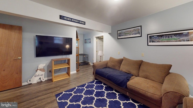 living room with wood-type flooring