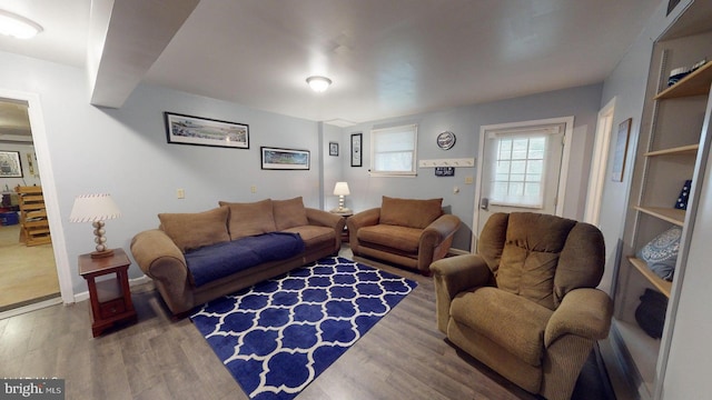 living room featuring wood-type flooring