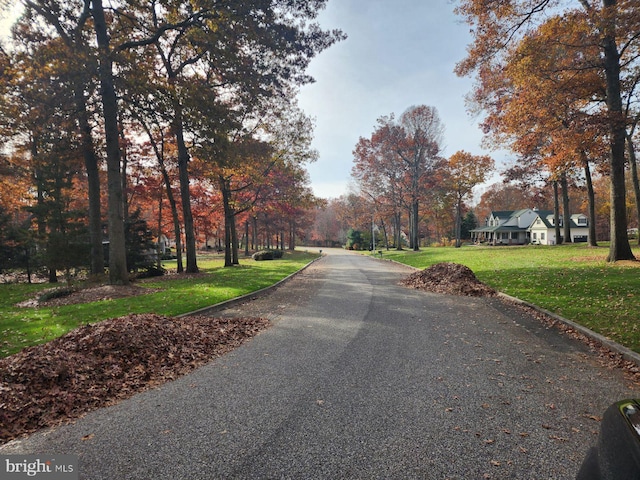 view of street