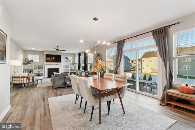 dining space with ceiling fan with notable chandelier and light hardwood / wood-style flooring