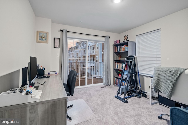 view of carpeted home office