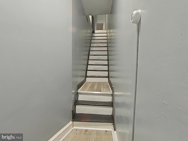 stairs with hardwood / wood-style flooring