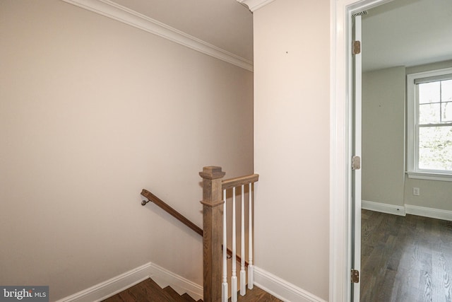 stairway featuring crown molding and hardwood / wood-style floors