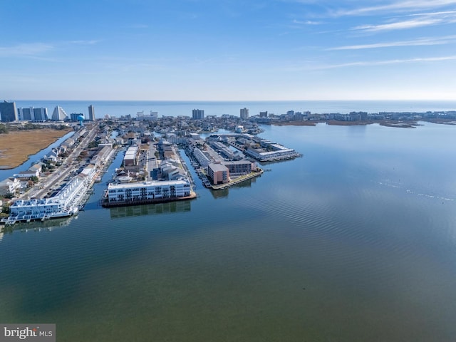 bird's eye view with a city view and a water view