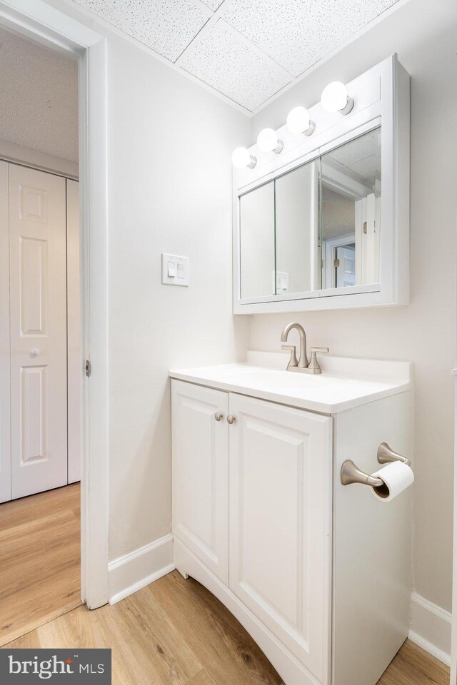 bathroom with wood-type flooring, vanity, and a drop ceiling