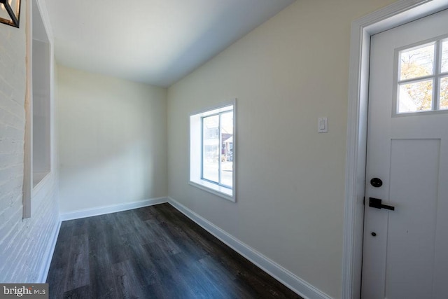 foyer featuring dark hardwood / wood-style floors and a healthy amount of sunlight