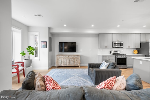 living room with light wood-type flooring