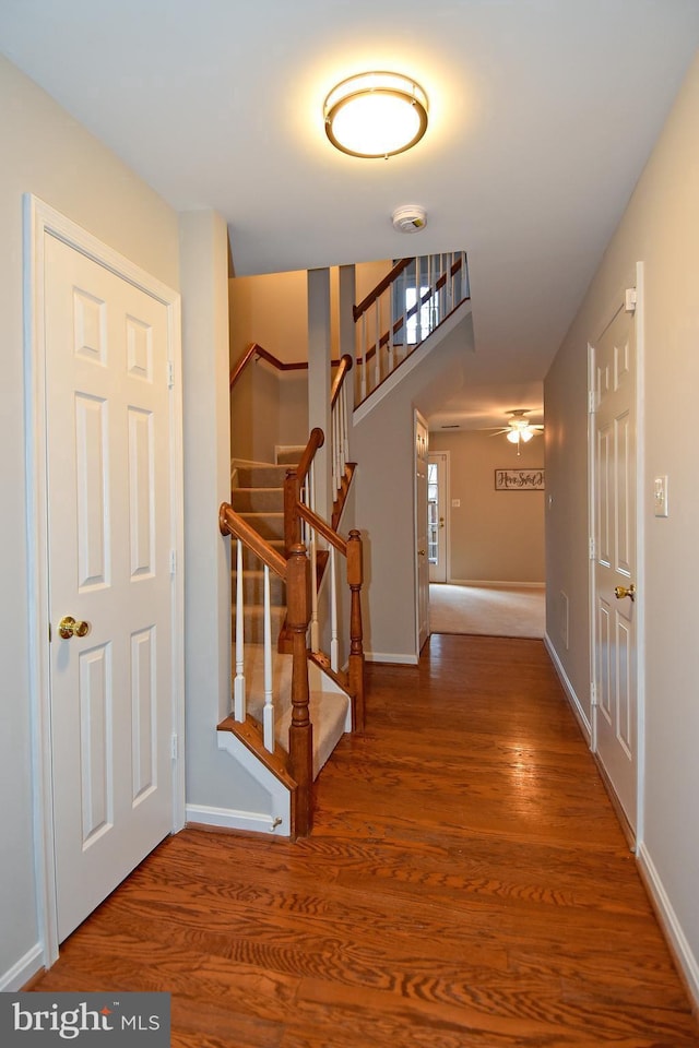 interior space featuring hardwood / wood-style floors