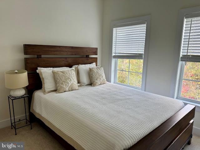 carpeted bedroom featuring multiple windows