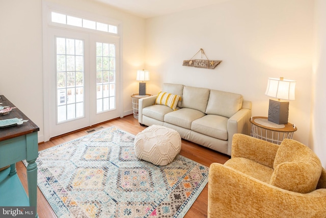 living room featuring wood-type flooring