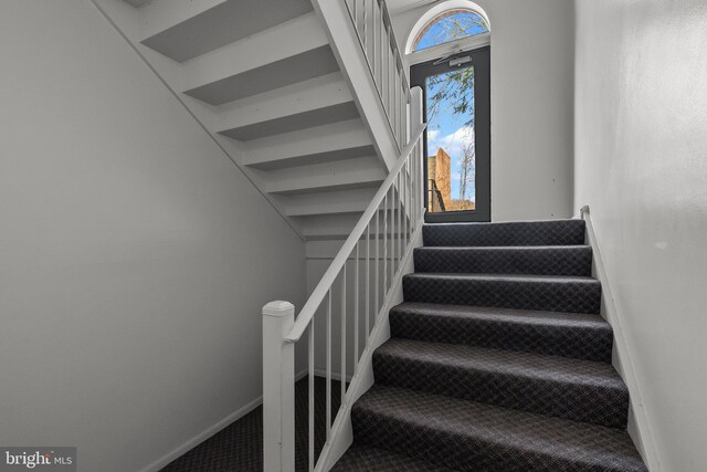 stairs with plenty of natural light and carpet floors