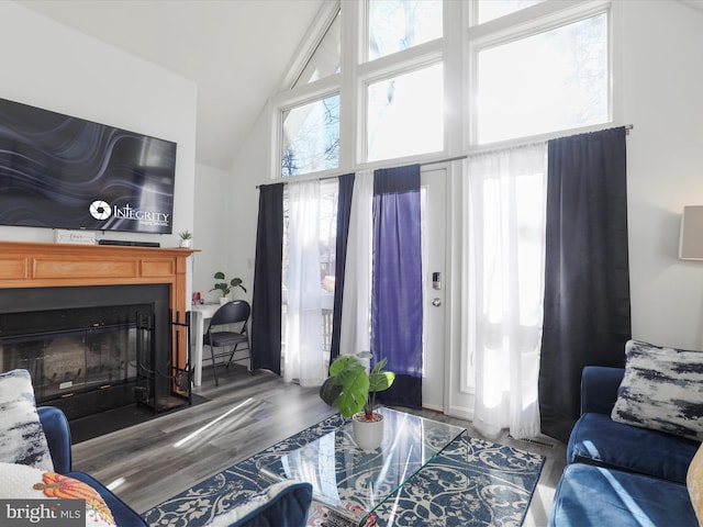 living room featuring plenty of natural light, wood-type flooring, and high vaulted ceiling