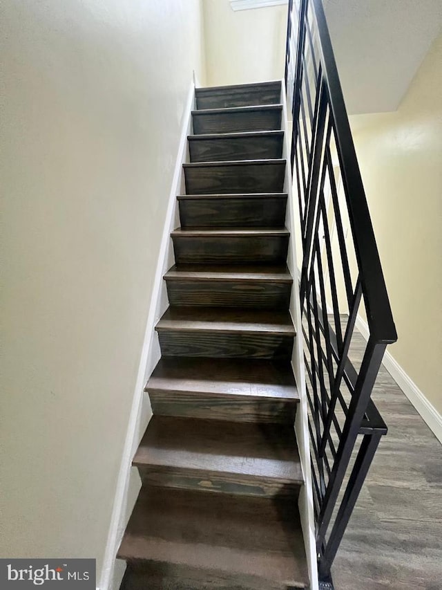 staircase featuring hardwood / wood-style floors