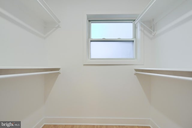 walk in closet featuring light wood-type flooring