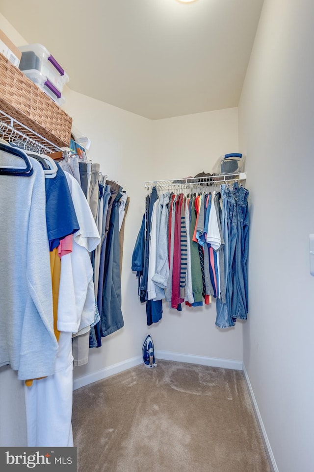 spacious closet with carpet flooring