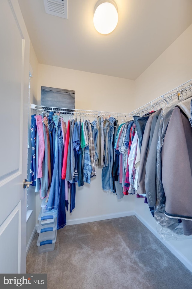 walk in closet featuring carpet flooring