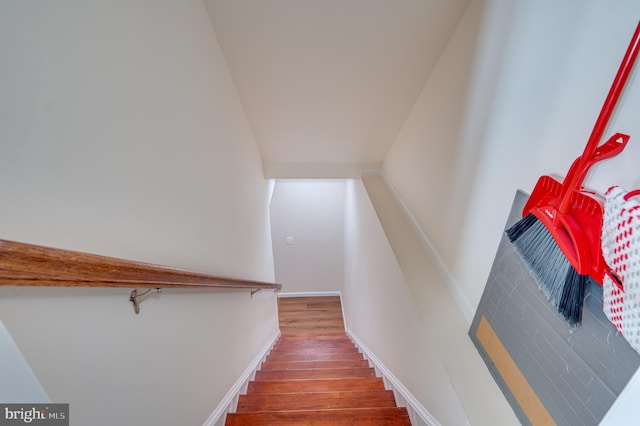 stairway featuring hardwood / wood-style floors